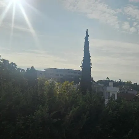 Apartment Vila 7